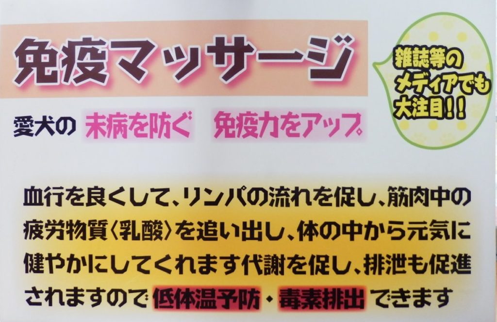 人気のペットケア免疫マッサージ 日本ペットセラピー協会